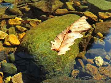 eqwewrwe